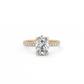 Oval Pavé Solitaire Diamond Ring - 14K Yellow Gold (2.22 ct.)