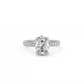 Oval Pavé Solitaire Diamond Ring - 14K White Gold (2.22 ct.)