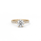 Round Pavé Solitaire Diamond Ring - 14K Yellow Gold (1.72 ct.)