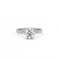 Round Pavé Solitaire Diamond Ring - 14K White Gold (1.72 ct.)
