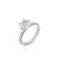 Round Pavé Solitaire Diamond Ring - 14K White Gold (1.72 ct.)