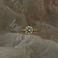 Round Pavé Solitaire Diamond Ring - 14K White Gold (1.72 ct.)
