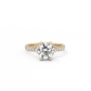 Round Pavé Solitaire Diamond Ring - 14K Yellow Gold (2.22 ct.)
