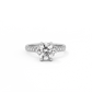 Round Pavé Solitaire Diamond Ring - 14K White Gold (2.22 ct.)