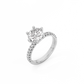 Round Pavé Solitaire Diamond Ring - 14K White Gold (2.22 ct.)