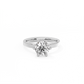Round Solitaire Diamond Ring - 14K White Gold (1.5 ct.)