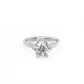 Round Solitaire Diamond Ring - 14K White Gold (2 ct.)